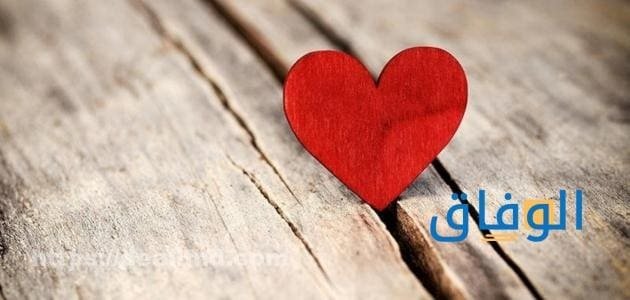 عبارات جميلة عن الشوق