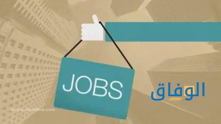 كيف يمكنك التسجيل فى مواقع التوظيف | +6 أهم الوظائف بالشركات المصرية 