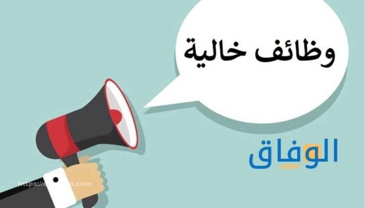 وظائف شركات في مصر