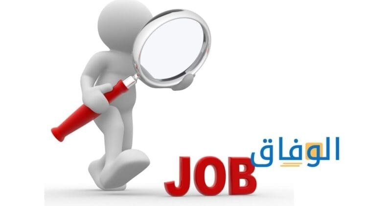 وظائف شركات قطاع خاص | +8 خطوات التقديم على وظائف القطاع الخاص