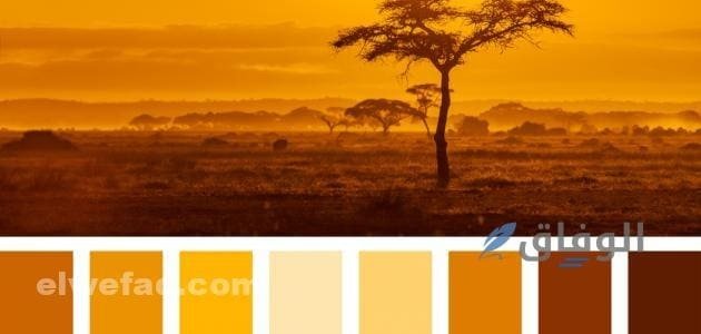 لون مشمشي فاتح | تألقي في الصيف وارتدي لون مشمشي فاتح لون مشمشي فاتح