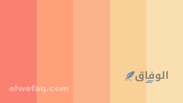 لون مشمشي فاتح | تألقي في الصيف وارتدي لون مشمشي فاتح لون مشمشي فاتح