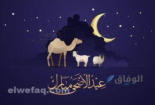 إجازة عيد الأضحى