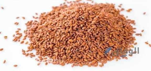 كيفية استخدام حب الرشاد