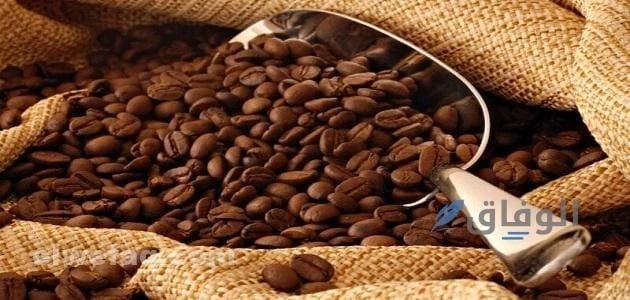 أفضل أنواع البن في مصر | تعرف على أجود 7 أنواع بن في مصر