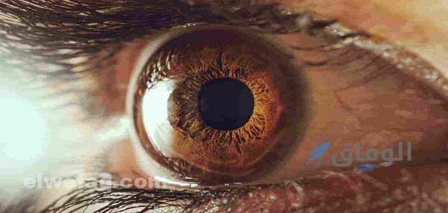 علامات العين في البيت | اكتشف الآن جميع هذه العلامات وأسرع طرق التخلص منها