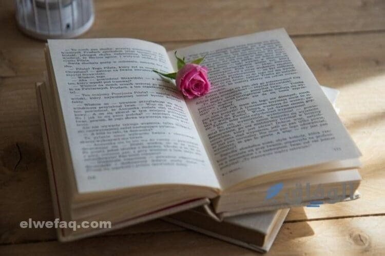 روايات رومانسية جديدة | 3 روايات مسلية وممتعة