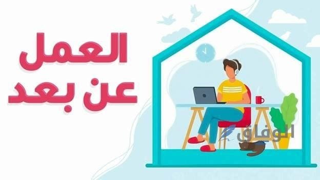 وظائف عن بعد بدون خبرة