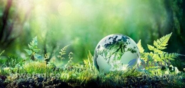 مقالة عن البيئة | ما هي أنظمة البيئة وأهم عناصرها؟ مقالة عن البيئة