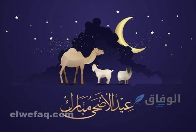 أفكار لعيد الأضحى