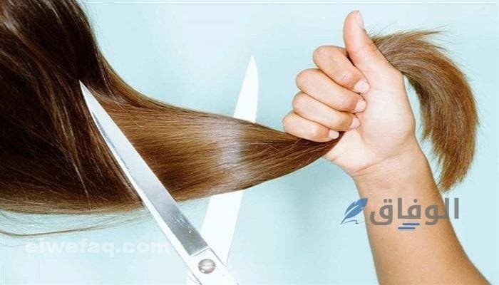 قص شعر مدرج طويل | أفضل طريقة لقص الشعر الطويل