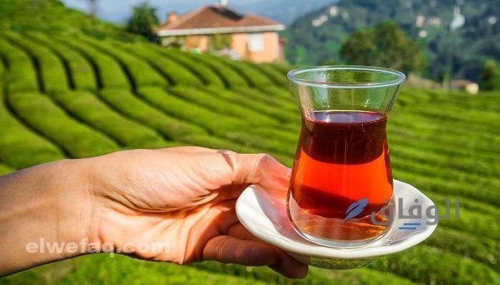 مشروبات ساخنة للكافيهات