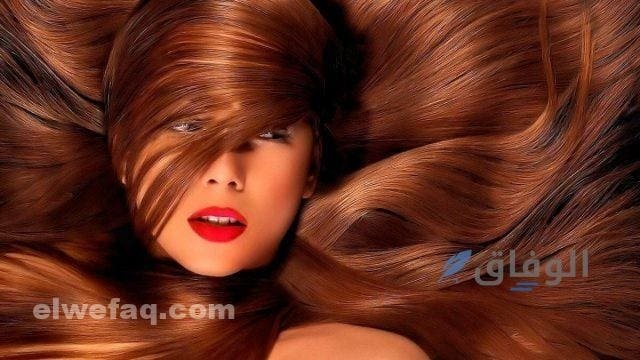 أفضل شامبو لكثافة الشعر للنساء