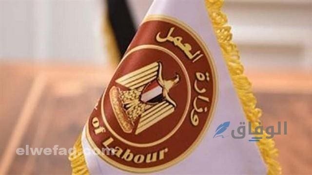 التسجيل بقاعدة بيانات وزارة العمل 