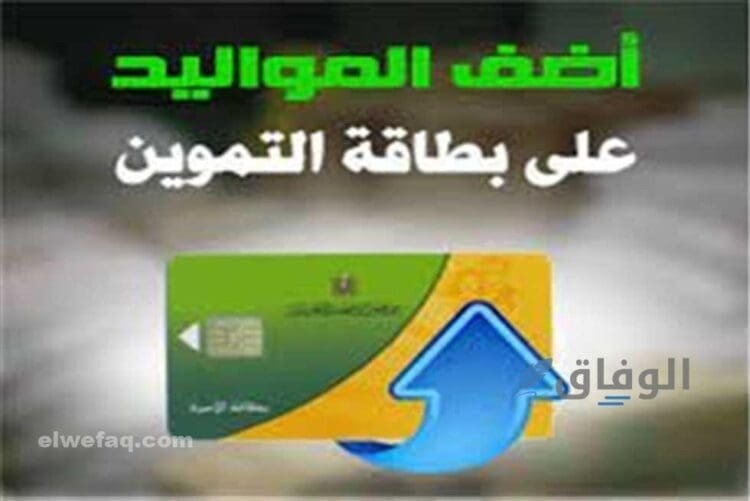 إضافة مواليد جدد| أهم 5 أوراق لإضافة المواليد