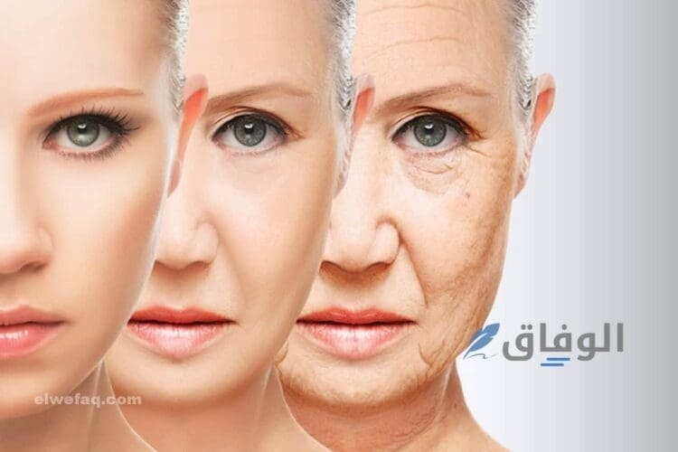 كريمات لوريال للتجاعيد