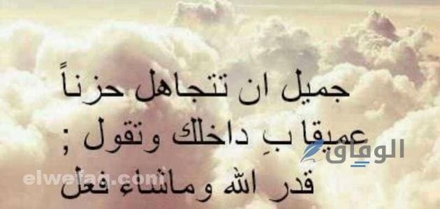 عبارات حكم قويه