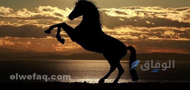 عبارات قويه عن النفس