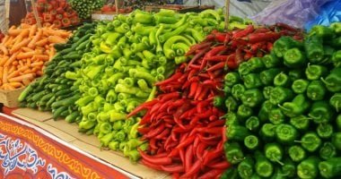 أسعار الخضروات اليوم الخميس 29-5-2025 بمحافظة مطروح.. البطاطا بـ15 جنيها