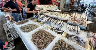 أسعار اللحوم والأسماك اليوم الثلاثاء 13-5-2025 فى سوهاج.. البلطى بـ85 جنيها