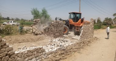 إزالة 25 حالة تعد على أراضى زراعية بأرمنت وحالتى تعد بالمدامود قبلى.. صور