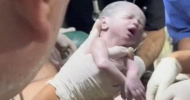 القانون يحظر مزاولة مهنة التوليد لغير الأطباء البشريين.. اعرف التفاصيل