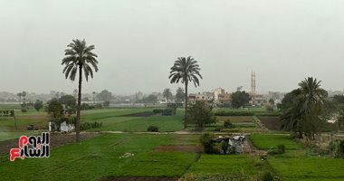 تعرف على توصيات وزارة الزراعة للمحاصيل الخضراء