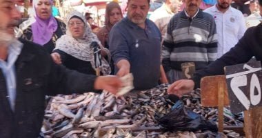 حلقة عزبة البرج.. مركز توزيع الأسماك الطازجة يوميا من الرابعة فجرا