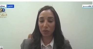 خبير: مصر عازمة على زيادة الاستثمارات الأجنبية المباشرة وغير المباشرة