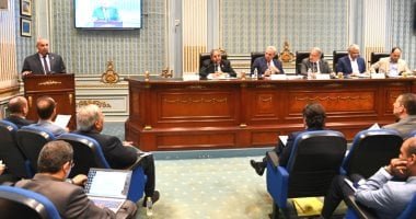 خلال اجتماع “محلية النواب”.. محافظ الغربية: نسبة تنفيذ الخطة الاستثمارية 95%