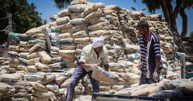 سعر الأسمنت اليوم الخميس 1-5 -2026 الطن بـ 3350 جنيهًا