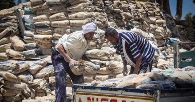 سعر الأسمنت اليوم السبت 24-5-2025.. الطن بـ4 آلاف جنيه