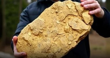 شعبة الذهب فى مصر تكشف تطورات عيار 24 بالصاغة