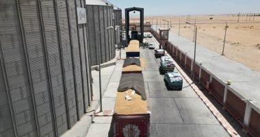 فرحة الخير في الوادي الجديد.. صوامع المحافظة تستقبل بشائر القمح