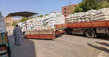 كفر الشيخ: توريد 35258 طنا من القمح بصوامع كفر الشيخ