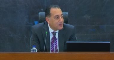نائب مدير صندوق النقد الدولي: هناك جهد كبير فى الإصلاحات الاقتصادية بمصر