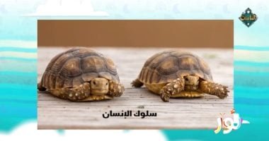 “نور” المذاع على قناة الناس يعلم الأطفال: تغير المناخ يهدد بعض الحيوانات بالانقراض