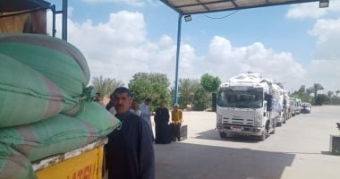 وزارة التموين: توريد 47 ألف طن قمح محلي من المزارعين ببني سويف حتى الآن