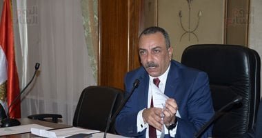 وكيل تشريعية النواب: تعديلات قوانين الانتخابات تتوافق مع الدستور وتحقق التمثيل العادل