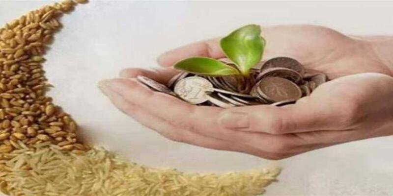 زكاة الفطر 2026 في مصر قيمتها وكيفية إخراجها (تحديث رسمي + طرق الدفع) زكاة الفطر 2026 في مصر