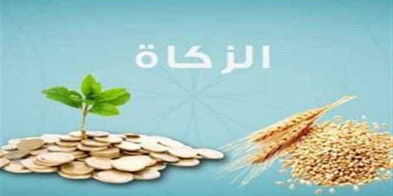 زكاة الفطر 2026 في مصر قيمتها وكيفية إخراجها (تحديث رسمي + طرق الدفع) زكاة الفطر 2026 في مصر